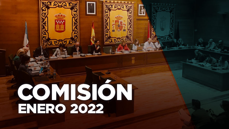 pleno-19-septiembre